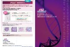 ジェノスタッフ会社案内表紙の実績画像を拡大