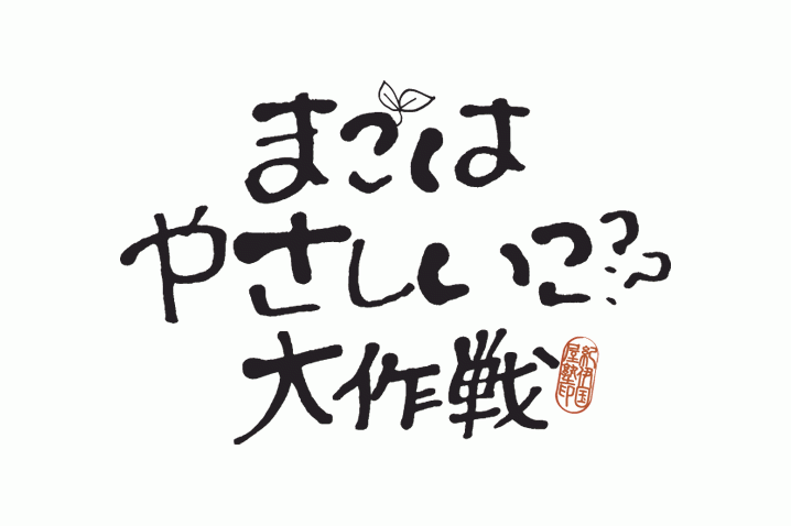 まごはやさしいこ大作戦ロゴの実績画像を拡大